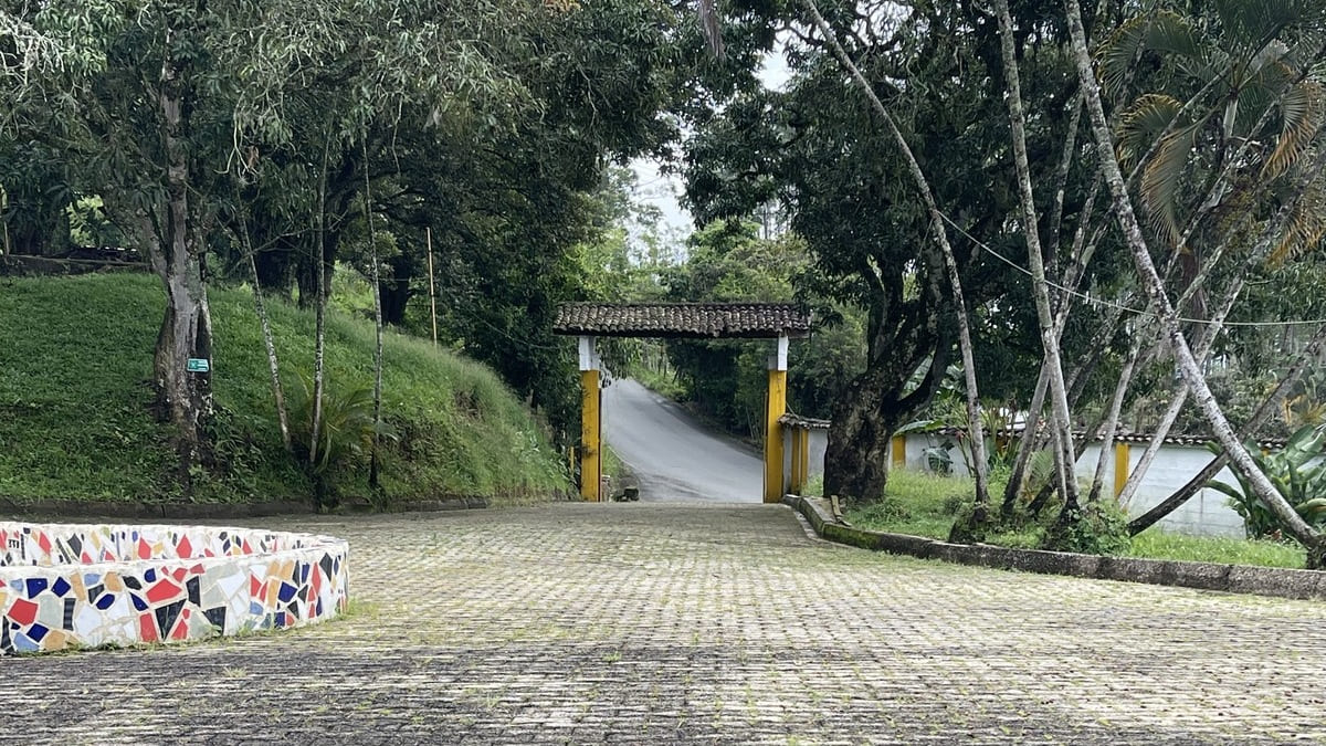 Nuevo camino - Nosotros